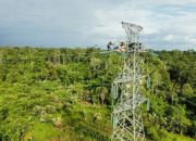 PLN Gencar Tingkatkan Pembangunan Infrastruktur Kelistrikan di Maluku dan Papua