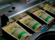 Dorong Kesejahteraan Masyarakat, TJSL PLN Serap 4.019 Tenaga Kerja Lokal di Sulawesi, Maluku, Papua dan Nusa Tenggara