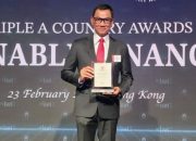 Konsisten Dorong Transisi Energi, PLN Raih Penghargaan Internasional The Best Green Loan