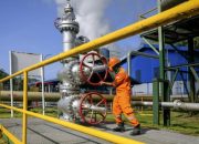 Muluskan Jalan Transisi Energi, PLN Kolaborasi dengan Jepang Bangun Ekosistem EBT di Indonesia