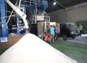 Produksi Penggilingan Padi di Demak Naik Dua Kali Lipat Berkat Electrifying Agriculture PLN