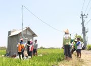 Program Electrifying Agriculture PLN Tumbuh 22,28 Persen