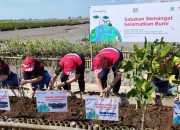 Semarak HUT ke-53, Astra Motor Tanam 10.000 Bibit Mangrove