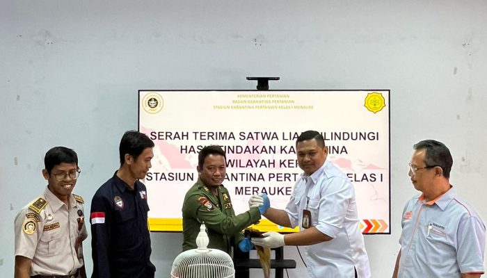 Karantina bersama PT Pos Gagalkan Pengiriman Awetan Burung Cenderawasih