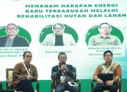 Kembangkan Biomassa, Cara PLN Tekan Emisi Karbon Sekaligus Merehabilitasi Lahan