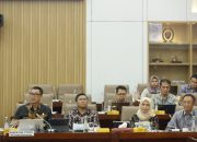 Komisi VI DPR RI Dukung Usulan PMN PLN untuk Program Listrik Desa