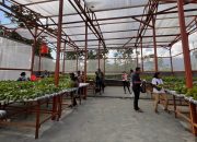 Program Desa Berdaya PLN “Taman Inspirasi Waibu” Kembangkan Pasar ke Siswa di Jayapura
