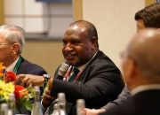 PLN Petakan Kerja Sama Dengan PNG Power