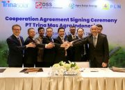 Gandeng TDAE, PLN Group Siap Produksi Solar Panel Dengan Teknologi Mutakhir