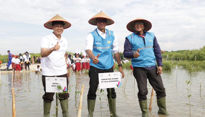 Tegakkan Prinsip Operasional yang Berkelanjutan, PLN Restorasi 308 Hektar Lahan Tandus Jadi Paru-Paru Baru
