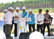Presiden Jokowi Groundbreaking Pembangunan PLTS PLN 50 MW di IKN Nusantara, Hadirkan 100% Energi Bersih