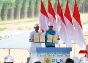 Kolaborasi PLN dan Otorita IKN Siapkan Green National Capital City di IKN Nusantara