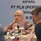 Direktur Retail dan Niaga PLN Edi Srimulyanti. ( Foto : Istimewa )