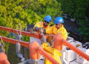 Pastikan Pasokan Listrik Sambut Pemilu 2024 Aman, PLN Dirikan Posko Siaga Kelistrikan di Seluruh Indonesia