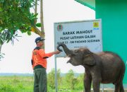PLN Turut Aktif Lestarikan Gajah Sumatra, Sediakan Kendaraan Patroli Hewan
