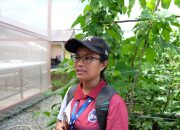Desa Berdaya PLN Jadi Rujukan Lokasi Belajar Siswa SD di Jayapura
