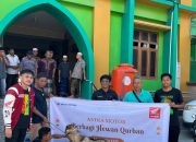 Astra Motor Papua Serahkan 4 Ekor  Kambing Kurban Saat Idul Adha