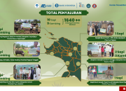 Bank Indonesia Distribusikan 19 Hewan Kurban di seluruh DOB Tanah Papua