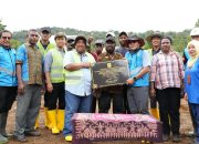PLN Gandeng Instansi hingga Masyarakat Lakukan Rehabilitasi Hutan di Papua