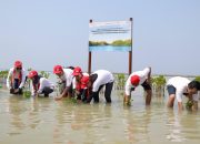 AHM Tanam Ribuan Pohon,Dukung Program Penyerapan Karbon untuk Mitigasi Perubahan Iklim