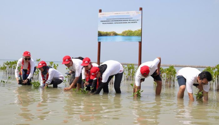 AHM Tanam Ribuan Pohon,Dukung Program Penyerapan Karbon untuk Mitigasi Perubahan Iklim
