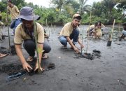 Cendera Mata Bagi Bumi: PLN UIP MPA gandeng Uniera Gelar Konservasi Mangrove dan Burung Mamoa