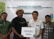 PLN UIP MPA Hadirkan Inovasi Electrifying Agriculture di Taman Inspirasi Waibu