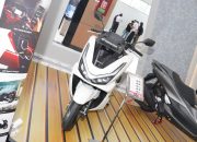 Honda PCX 160 Sabet Rookie of The Year 2025