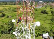 Telkomsel Bersama PT. Bio Inti Agrindo Akselerasikan Pengembangan Ekosistem Digital di Sektor Pertanian Merauke