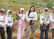Srikandi PLN UIP MPA Ambil Peran Nyata dalam Rehabilitasi DAS di Jayapura