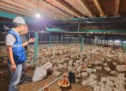 Utamakan Daya Beli Masyarakat,Pemerintah Jaga Tarif Listrik Tetap Terjangkau Sepanjang 2025
