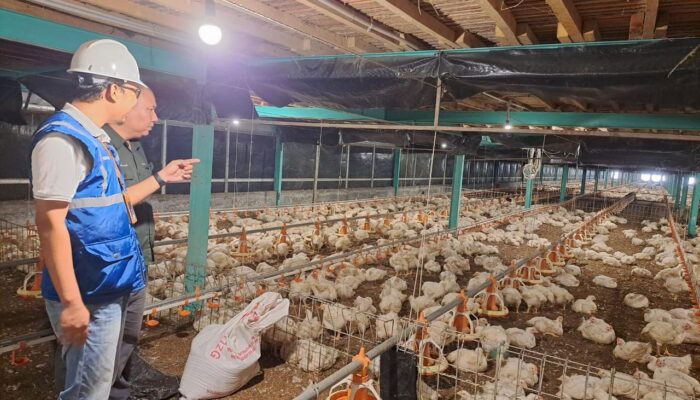Utamakan Daya Beli Masyarakat,Pemerintah Jaga Tarif Listrik Tetap Terjangkau Sepanjang 2025