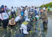 Bersama Warga, PLN Rehabilitasi Mangrove Lindungi Pesisir Utara Jateng dari Banjir Rob