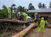 Gubernur Sumbar Apresiasi Kerja PLN Pulihkan Listrik Pascabencana