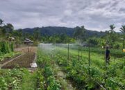 PLN UIP MPA Dorong Modernisasi Pertanian melalui Electrifying Agriculture di Kelompok Pelita Jaya Makmur