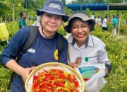 Dari Lahan Kering ke Harapan Baru: Cerita Perubahan Kelompok Tani Waibron