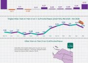 Ilustrasi : Data grafik BPS Provinsi Papua
