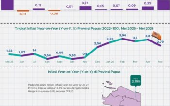 Ilustrasi : Data grafik BPS Provinsi Papua