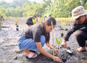 Tanam Mangrove dan Lepas Tukik Penyu di Pantai Wauwo, PLN UIP MPA Dukung Kolaborasi Konservasi Pesisir Berkelanjutan