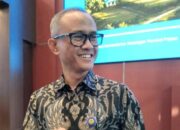 Setoran Pajak Sektor Keuangan Papua Melambat, DJP Ungkap Penyebabnya