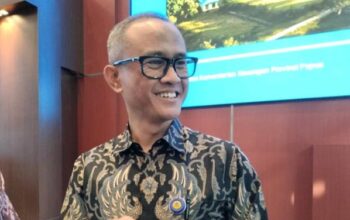 Setoran Pajak Sektor Keuangan Papua Melambat, DJP Ungkap Penyebabnya