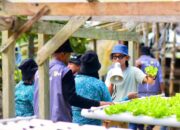 PLN UIP MPA Hadirkan Pembelajaran Langsung Pengembangan PLTP bagi Masyarakat Halmahera Selatan
