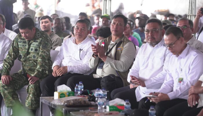 Bulog Dukung Gerakan Tanam Padi Serentak di Kawasan Cetak Sawah Merauke