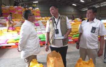 Bulog Perkuat Stok Beras Papua, Dirut: Kami Targetkan Ketersediaan Beras Naik Tiga Kali Lipat